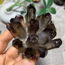 207g   New find tea color Phantom Quartz Crystal Cluster mineral samples healing picture