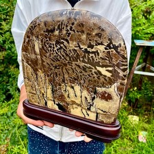 8LB Natural Chinese tree shaped limestone image, stone made rural ornaments picture