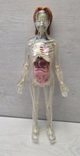 Anatomical Model Exploring the Human Body 2009 DE AGOSTINI DeAgostini Skeleton picture