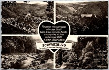 Schwarzburg East Germany Multiview Forest Hills Heart Design RPPC Postcard picture