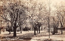 A63/ Douglas Arizona Az Real Photo RPPC Postcard c40s 15th Street Park picture