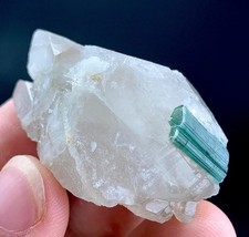 93 Carat Tourmaline Crystal With Quartz Specimen From Afghanistan picture