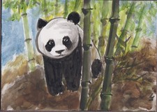 LinLi888 Lin Li Art ACEO Original Acrylic Painting Panda 26092304 picture