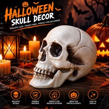 Halloween Skull Decoration,Realistic Plastic Skull,Head Skeleton,Halloween Party picture