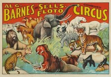 Circus, Clown, Side Shows, Posters 13 x 19 photo reproduction High quality 524 picture