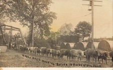LP55 Spencer West Virginia Roane County Oil Field Oxen Move Boiler RPPC Postcard picture