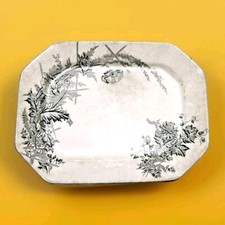Rare collecta Antique Burgess and Leigh, Burleigh, 'Poppy' Serving Platter Plate picture