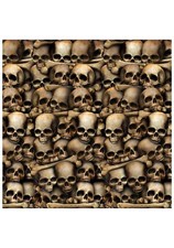 Catacombs Backdrop picture