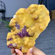1.17LB Natural crystal Yellow coexisting purple fluorite Inner Mongolia China picture