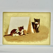 J G Woodland & Co Printers St Paul MN Victorian Trading Card picture