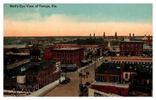Tampa FL Birdseye View Cityscape Horse Carts Car Signs C1910s Postcard AH5 picture