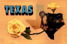 Texas, Union, Bluebonnet, Mockingbird, The Lone Star State, Amarillo, Postcard picture