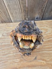 1:1 scale Halloween Skull and Skeleton head Cougar Artifact Sideshow Gaff picture