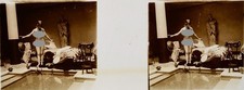 Stereo view on glass. Jules Richard Atrium, Art Nude. 45x107mm. 1900. picture