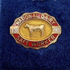Vintage Solid 10k Gold National Dairy Safe Worker 13 Years Pin w/Original Case picture