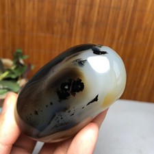 72mm Natural aquatic plants agate pretty Crystal specimens 167g A9995 picture