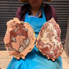 2pc 7.34LB Natural Petrified Wood Crystal Fossil Slice Shape Specimen Healing picture