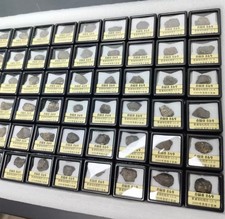 1pc L3-6 Chondrules meteorite NWA 869 Science popularization collection picture