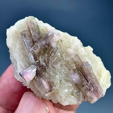 168 CT Terminated Natural Tourmaline Crystals Bunch Specimen From Afghanistan picture