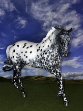 OOAK Breyer cm Custom WB Horse To an Appaloosa Sport Horse **Beautiful** picture
