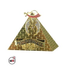 MASONIC SHRINER PAST POTENTATE JEWEL WITH RHINESTONES picture