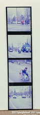 Vintage 1977 Boston Marathon Original 35mm Negatives Strip Running History 70s picture