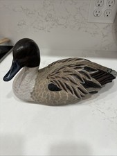 The Hadley Collection Pintail Duck Vintage picture
