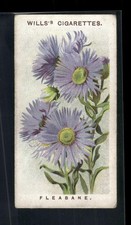 1913 Wills's Alpine Flowers #5 Fleabane picture