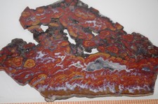 Huge slab Wingate Pass Death Valley Plume agate picture