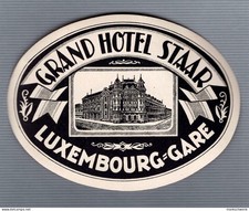 Vintage GRAND  HOTEL  STAAR  Luggage Label , Luxembourg MINT picture