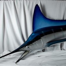 VINTAGE 8ft feet Fibre Glass Turquoise Blue Marlin Fish Fishing Wall Ocean picture