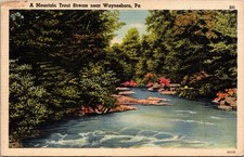1951 Waynesboro, PA Mountain Trout Stream Linen Postcard John Myerly Co picture