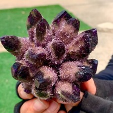 374G New Find purple PhantomQuartz Crystal Cluster MineralSpecimen picture