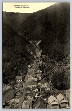 Gorge Gulch Burke Idaho ID Birdseye View of Town c1910 Postcard picture