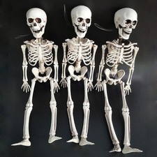 3 Pack 16