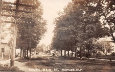 RPPC Naples NY South Main St Horse & Buggy Dirt St c1910 Photo Postcard picture
