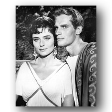 Marina Berti And Charlton Heston Photo 8x10 Classic Hollywood Portrait picture
