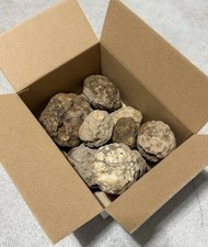 Box Of 10 Whole Natural Kentucky Geodes. FAST Read Description. picture