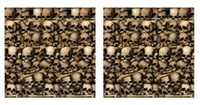 Beistle Catacombs Backdrop Wall Decorations – 2 Realistic Skull and Bone picture