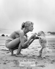SANDRA DEE WITH DOG ON SET OF 