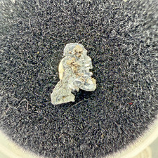 Nice Sharp Nagyagite Crystal: Săcărâmb, Hunedoara County, Romania- Rare picture
