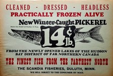 Vintage Old Pickerel Fish Advertising Paper Sign, 14 cents/lb, Duluth, MN. picture