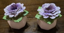 Pair - 2¾