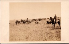 RPPC Cowboy on Horseback & Early Cars in Prairie Vintage Postcard 1910s picture