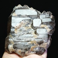 0.97lb Natural Smoky Elestial Skeletal Quartz Crystal Cluster Mineral Specimen picture