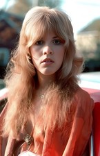 Stevie Nicks 8 x 10 Photograph Art Print Photo Picture picture