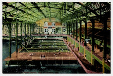 Vintage Postcard 1907-1915 Sutro Baths, San Francisco, California (CA) picture
