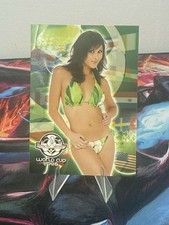 2006 Benchwarmer Lauren Kim picture