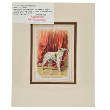 VTG 1890s Russian Wolfhound Borzoi Victorian Chromolithograph Trade Card Matted picture