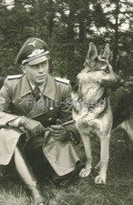 WW2 Picture Photo German Officer With His Dog in war 3310 picture
